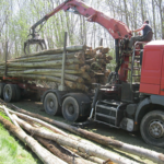Grumes de châtaignier – Camion 50 stères